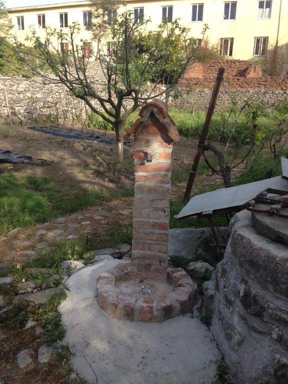 Eco Garten Guest House Shkoder Ngoại thất bức ảnh