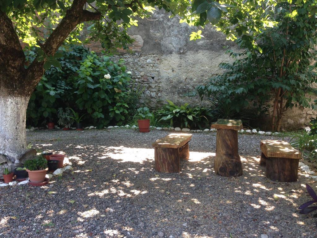 Eco Garten Guest House Shkoder Ngoại thất bức ảnh