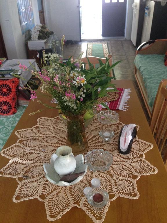 Eco Garten Guest House Shkoder Ngoại thất bức ảnh