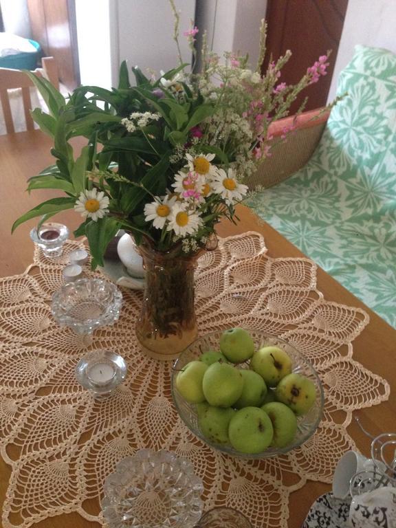 Eco Garten Guest House Shkoder Ngoại thất bức ảnh