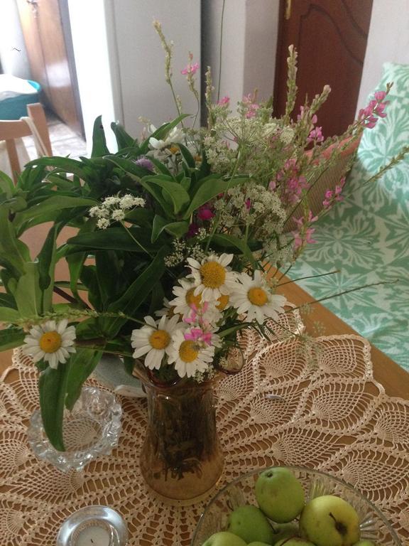 Eco Garten Guest House Shkoder Ngoại thất bức ảnh