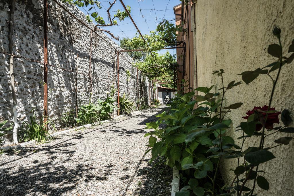 Eco Garten Guest House Shkoder Ngoại thất bức ảnh