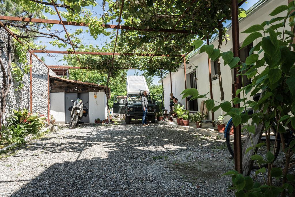 Eco Garten Guest House Shkoder Ngoại thất bức ảnh