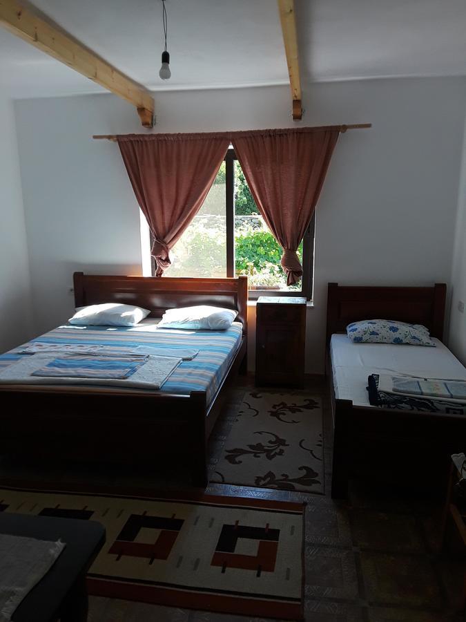 Eco Garten Guest House Shkoder Ngoại thất bức ảnh