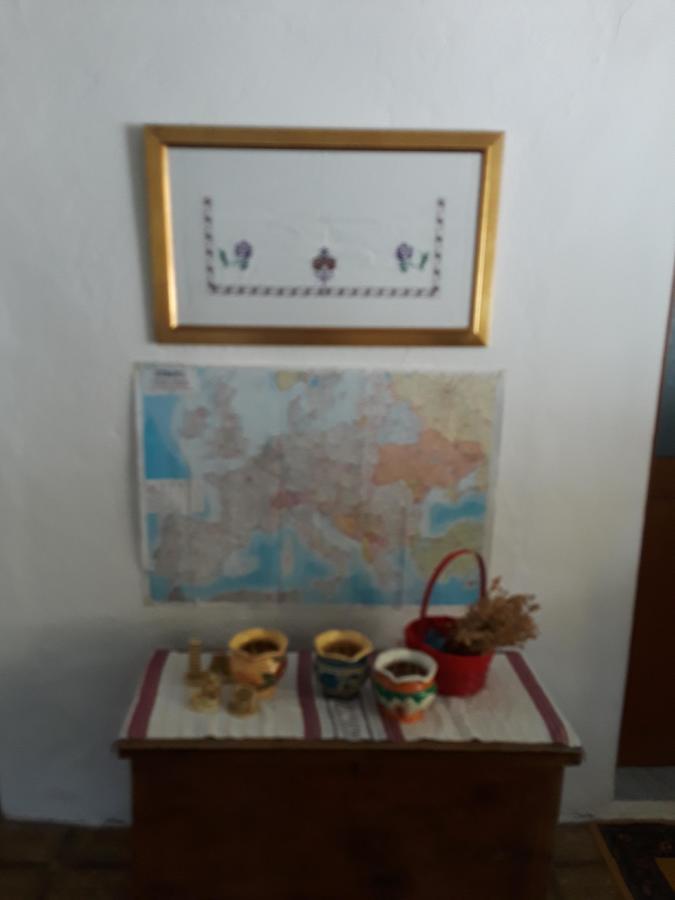 Eco Garten Guest House Shkoder Ngoại thất bức ảnh